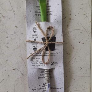 Eco friendly Paper Pen