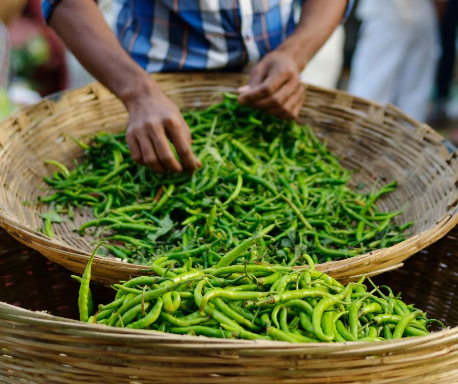 Green Chilies on health