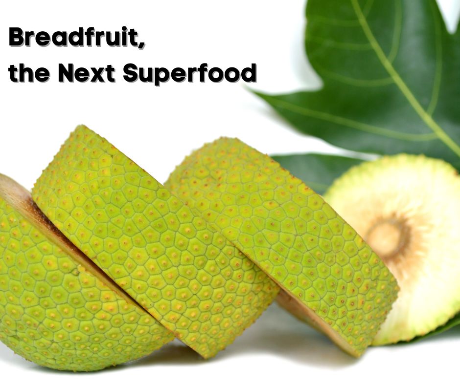 Breadfruit, the Next Superfood