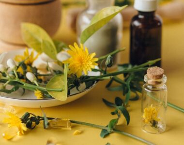 The Pros and Cons of Using Traditional medicine
