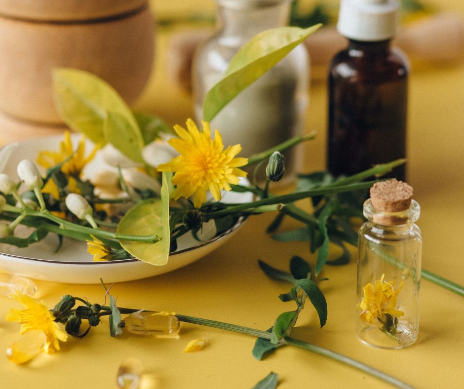 The Pros and Cons of Using Traditional medicine