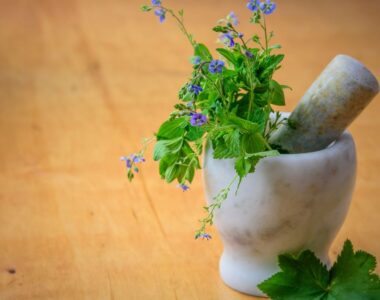 Why You Should Choose Herbal Supplements Over Synthetic Ones