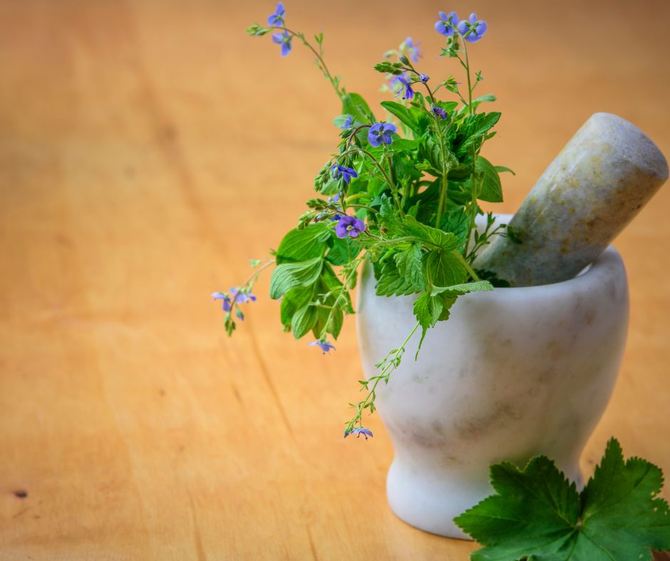Why You Should Choose Herbal Supplements Over Synthetic Ones